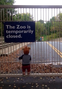 sad-kid-zoo-please-open-government